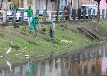 Arborização no Tucunduba começa com o plantio de 500 mudas