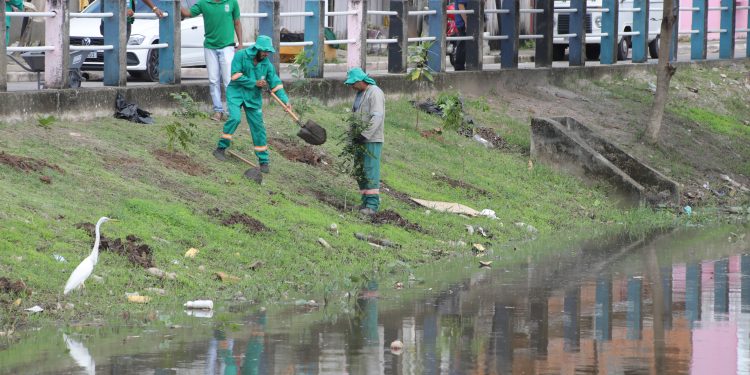 Arborização no Tucunduba começa com o plantio de 500 mudas