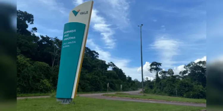 Vale divulga vagas de emprego no Pará. Veja como garantir a sua