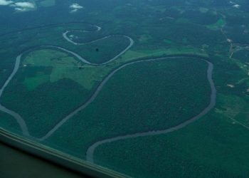 Pará regulamenta Cota de Proteção Ambiental e fortalece gestão de Unidades de Conservação