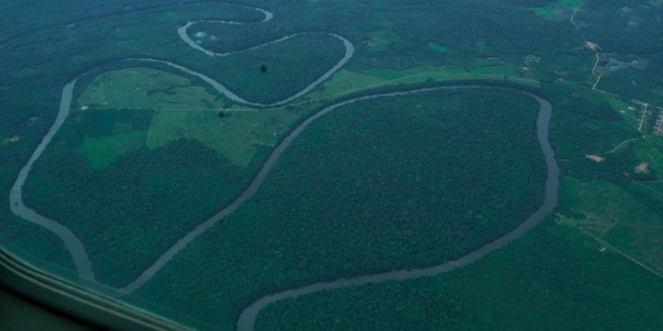 Pará regulamenta Cota de Proteção Ambiental e fortalece gestão de Unidades de Conservação