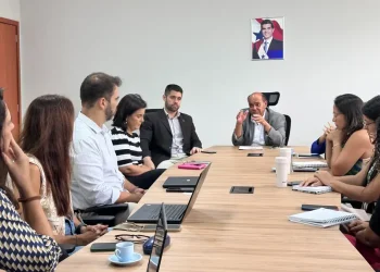 Pará inicia parceria com BNDES para estruturar concessões florestais