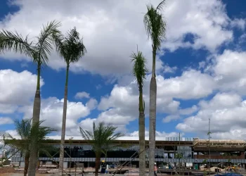 A 200 dias da COP30, Belém está com 78% das estruturas concluídas