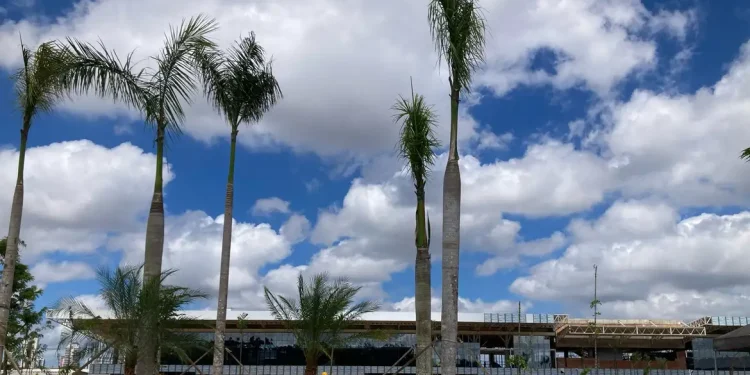 A 200 dias da COP30, Belém está com 78% das estruturas concluídas