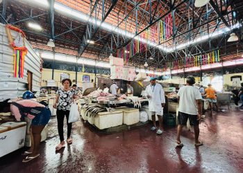 SEMANA SANTA : Decreto Municipal controla e limita da saída de pescado de Belém