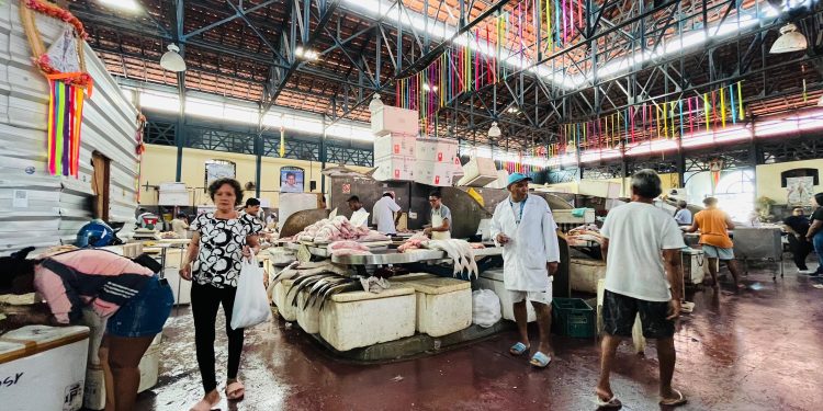 SEMANA SANTA : Decreto Municipal controla e limita da saída de pescado de Belém