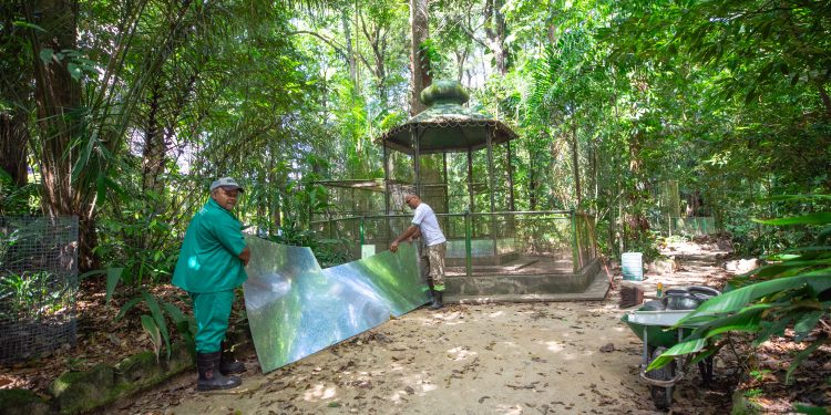 Bosque Rodrigues Alves recebe mutirão com reintegração social