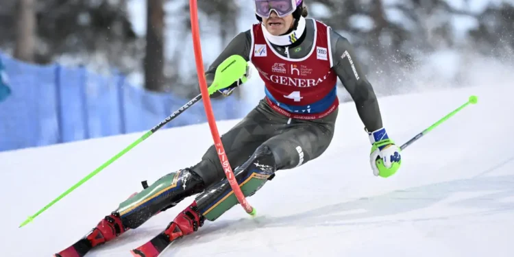 COB anuncia os 14 convocados para a Olimpíada de Inverno Milão-Cortina