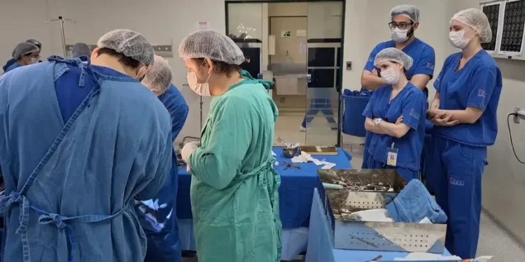 Pará supera 220 mil cirurgias em 2025 e reforça compromisso com a saúde pública