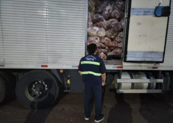 Sefa apreende 13,3 toneladas de carne bovina congelada e torre autoportante