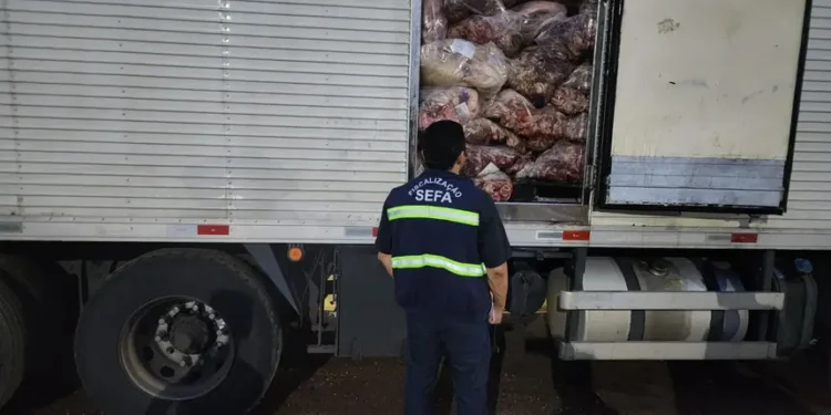 Sefa apreende 13,3 toneladas de carne bovina congelada e torre autoportante
