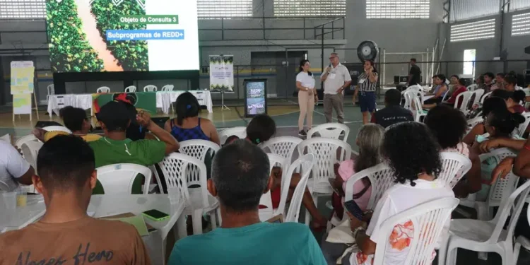 Quilombolas reconhecem avanços e projetam futuro com a implantação do Sistema Jurisdicional de REDD+ no Pará