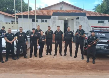 Polícia Civil conclui Operação Carnaval 2026 com mais de 190 procedimentos