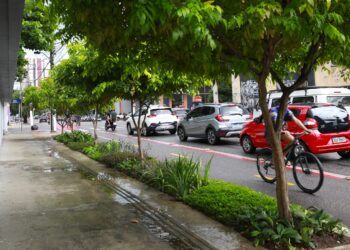 Prefeitura implanta jardins de chuva contra alagamentos em Belém