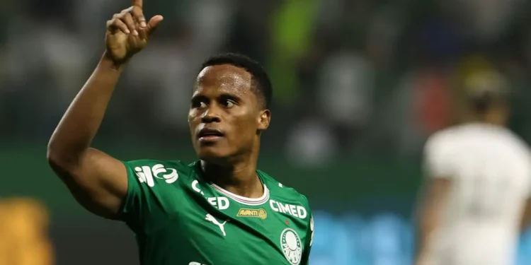 Palmeiras derrota Botafogo e assume liderança do Campeonato Brasileiro