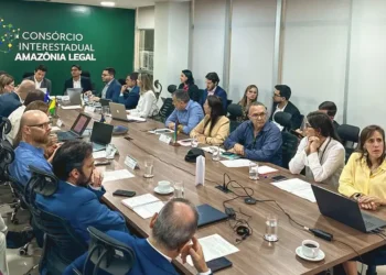 Pará fortalece articulação nacional sobre governança do CAR em agenda em Brasília