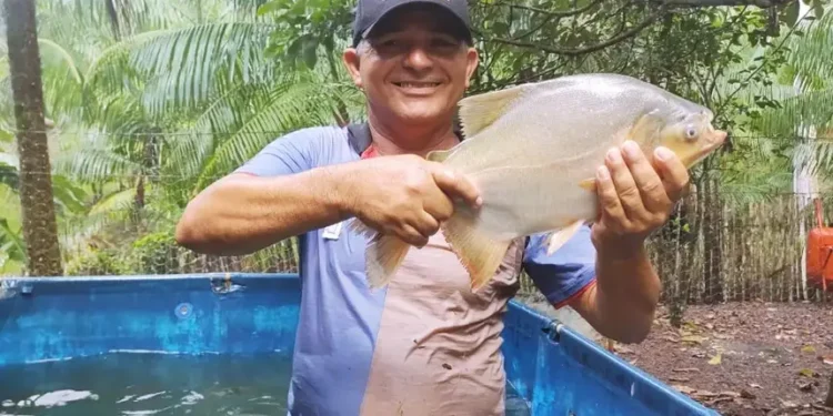 Piscicultor atendido pela Emater promove venda de peixe vivo em Marituba
