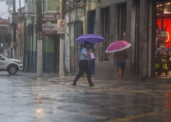 Sespa alerta população sobre risco de contrair Leptospirose em áreas alagadas