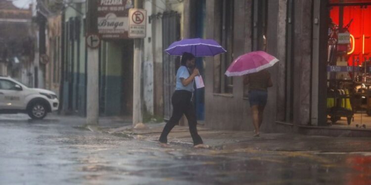 Sespa alerta população sobre risco de contrair Leptospirose em áreas alagadas