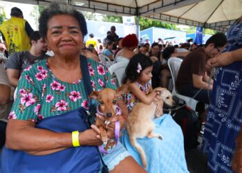 Prefeitura realiza 2 mil atendimentos em mais um Belém Animal