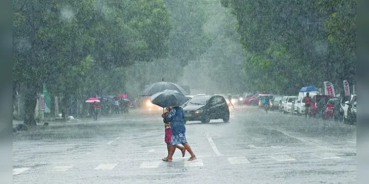 Pará deve concentrar os maiores volumes de chuva na semana