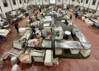 Pescado terá preços controlados durante a Semana Santa