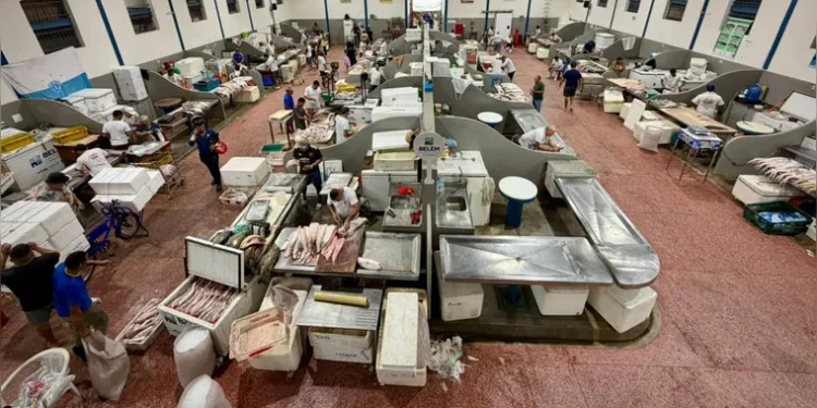 Pescado terá preços controlados durante a Semana Santa