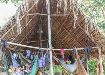 Povo Parakanã, do Pará, reocupa território após retirada de invasores