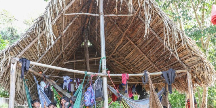 Povo Parakanã, do Pará, reocupa território após retirada de invasores