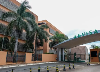 Anvisa atualiza limites de cúrcuma em suplementos alimentares