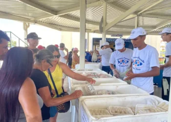 Semana do Pescado começa em Belém e em 70 municípios paraenses nesta quarta-feira (1º)