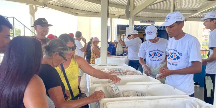 Semana do Pescado começa em Belém e em 70 municípios paraenses nesta quarta-feira (1º)