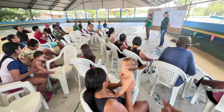 Planos de Gestão avançam no Pará e reforçam governança ambiental com participação social