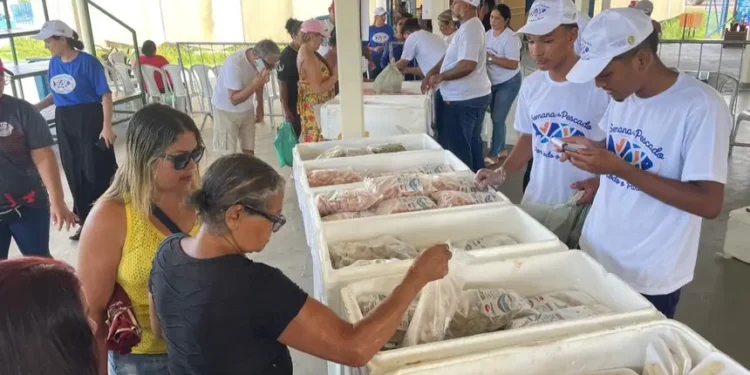 Semana do Pescado beneficiou 40 mil consumidores com a oferta de 400 toneladas de produtos em todas as regiões do Estado