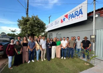 Ampliação e descentralização das ações do Ideflor-Bio fortalecem a gestão ambiental no Pará