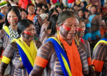 Governadora Hana Ghassan institui Dia Estadual de Luta dos Povos Indígenas no Pará