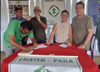 Emater realiza mutirão de emissão de Cadastro Nacional da Agricultura Familiar