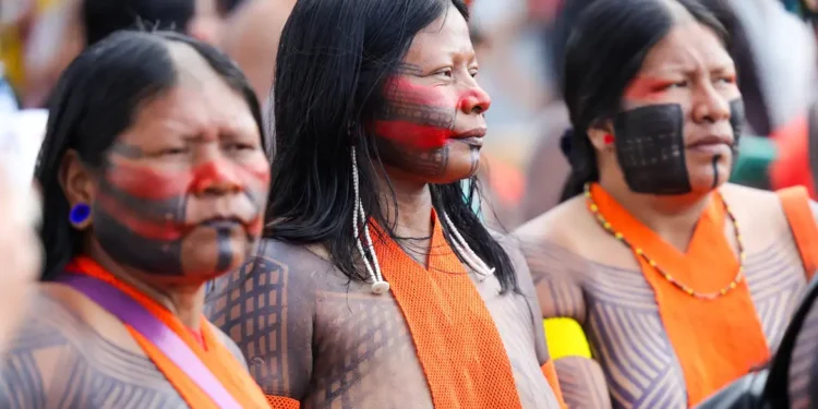 Campanha vai aplicar 89 mil doses de vacinas em territórios indígenas