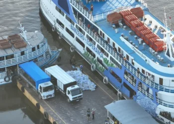 Base Fluvial Candiru apreende 10 toneladas de pirarucu em fiscalização a embarcação