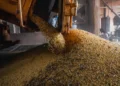 Economia brasileira cresce 1,1% no 1º trimestre