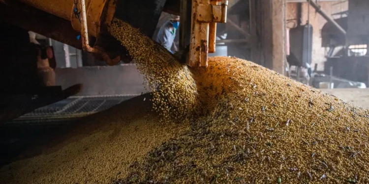 Economia brasileira cresce 1,1% no 1º trimestre